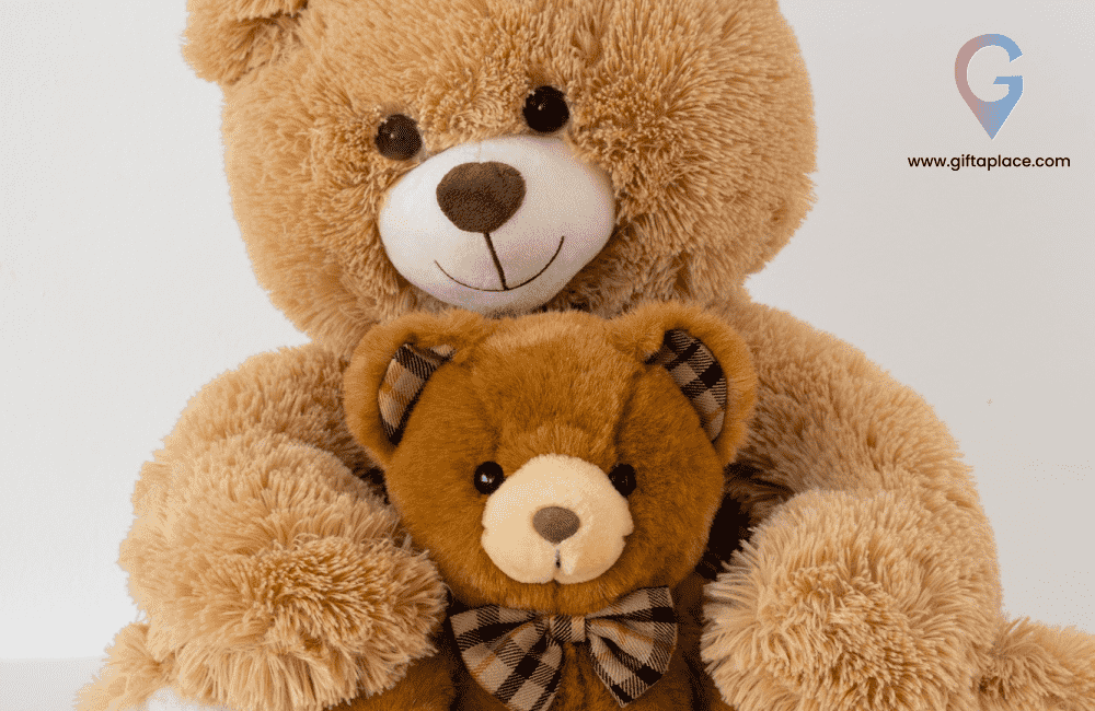 Celebrate Teddy Day with Gift a Place