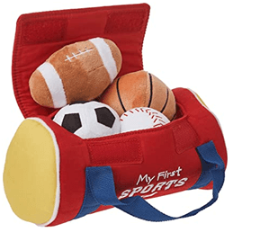 gift ideas for sports lovers